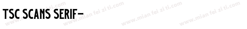 TSC Scans Serif字体转换